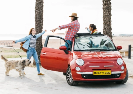 Tourist and business vehicle solution